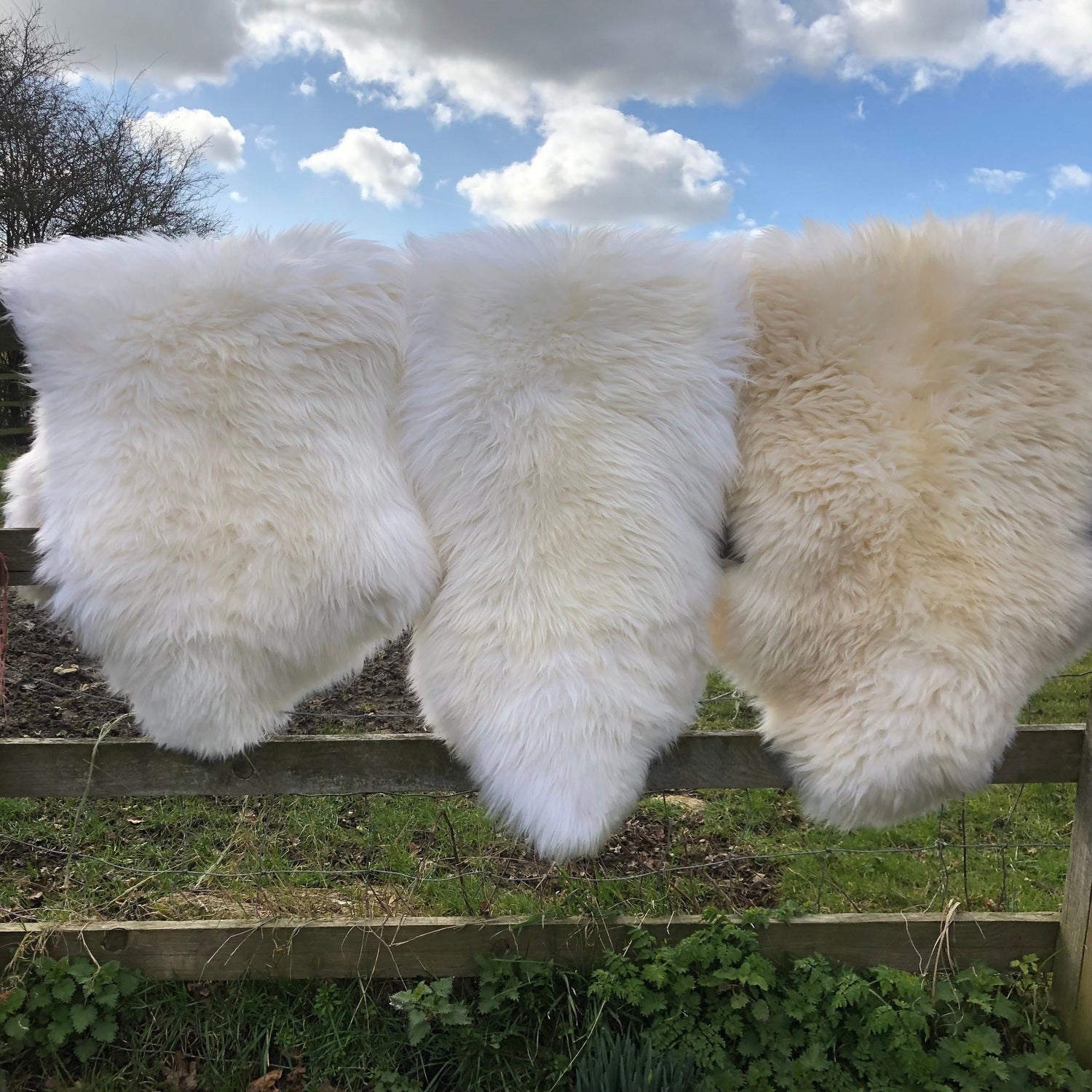 Sheepskin rugs and seat pads