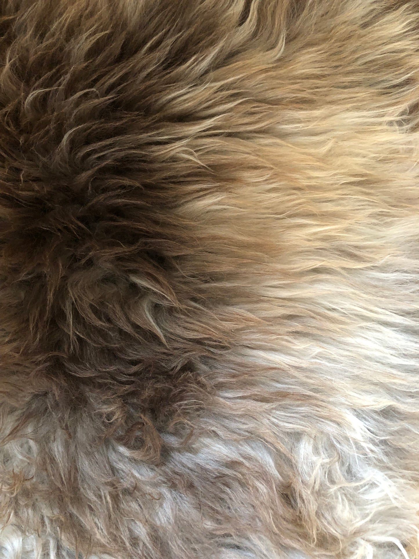 Sheepskin rug - genuine leather rare breed